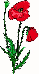 DA 1-19 + 10-11 DA 1-19 + 10-11