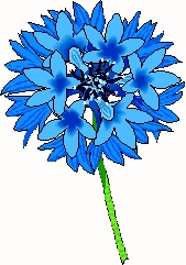 DA 1-23 + 10-15 DA 1-23 + 10-15