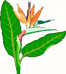 DA 1-26 + 10-18 e DA 1-26 + 10-18 e