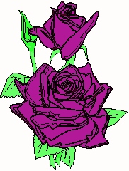 DA 2-3 + 10-26 d DA 2-3 + 10-26 d
