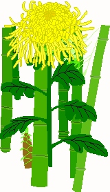 DA 3-5 + 11-25 10f2 DA 3-5 + 11-25 10f2