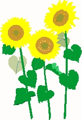 DA 3-5 + 11-25 20f2 DA 3-5 + 11-25 20f2
