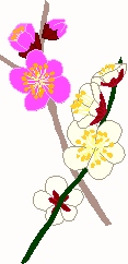 DA 3-8 + 11-28 1 0f 2 DA 3-8 + 11-28 1 0f 2