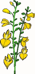 DA 7 + 9-28 DA 7 + 9-28