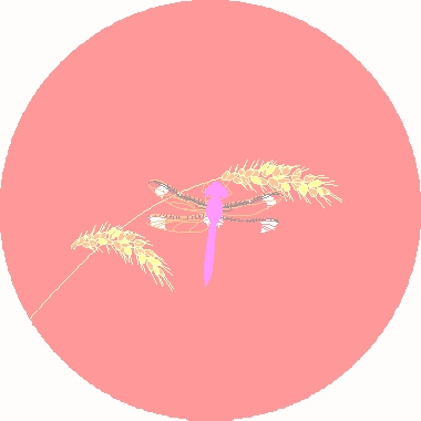 DA 8-1502 DA 8-1502
